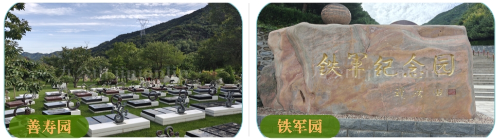 成分对比