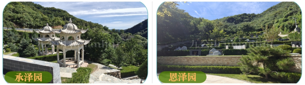 分解能力