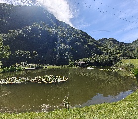 思亲湖