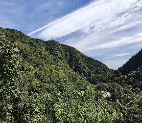 映楸池