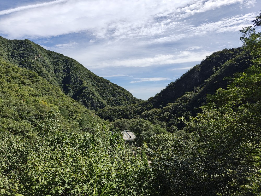 陵园环境