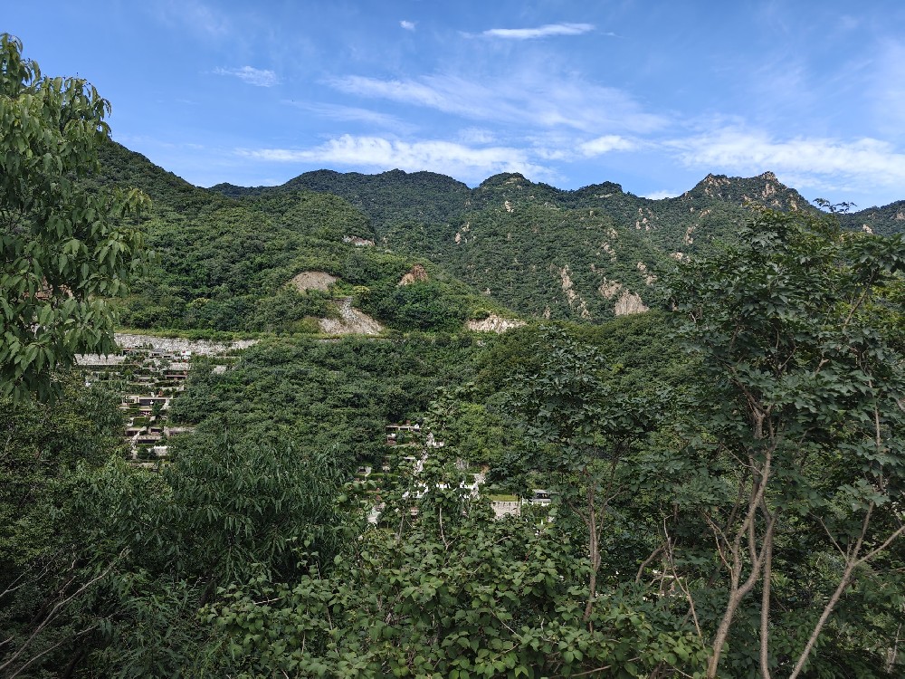 陵园环境