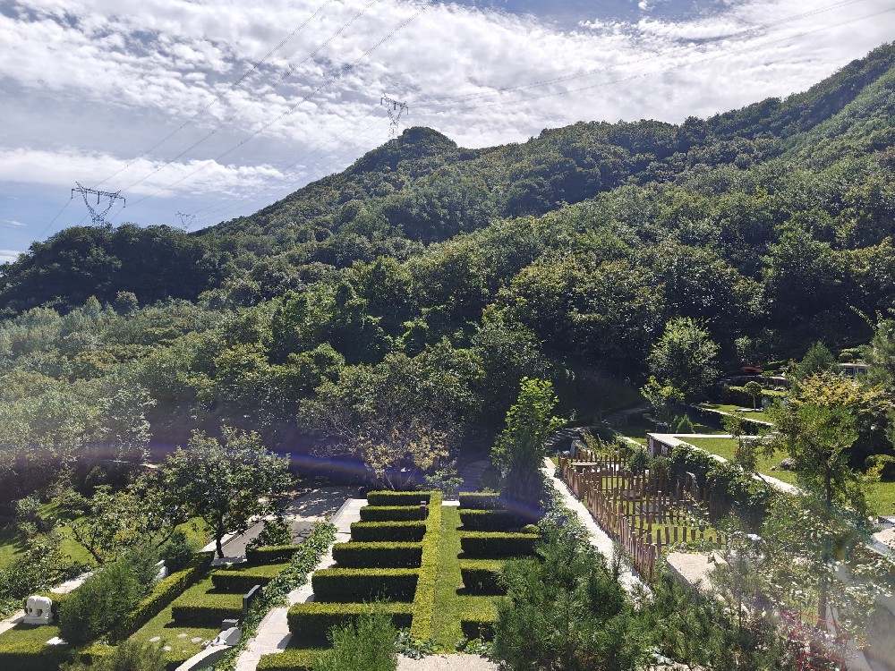九公山长城纪念林