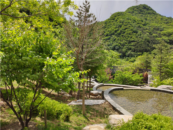 九公山公墓,公墓风水,公墓价格,公墓咨询,公墓环境